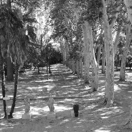 Saint-Pargoire Chateau Rieutort מראה חיצוני תמונה