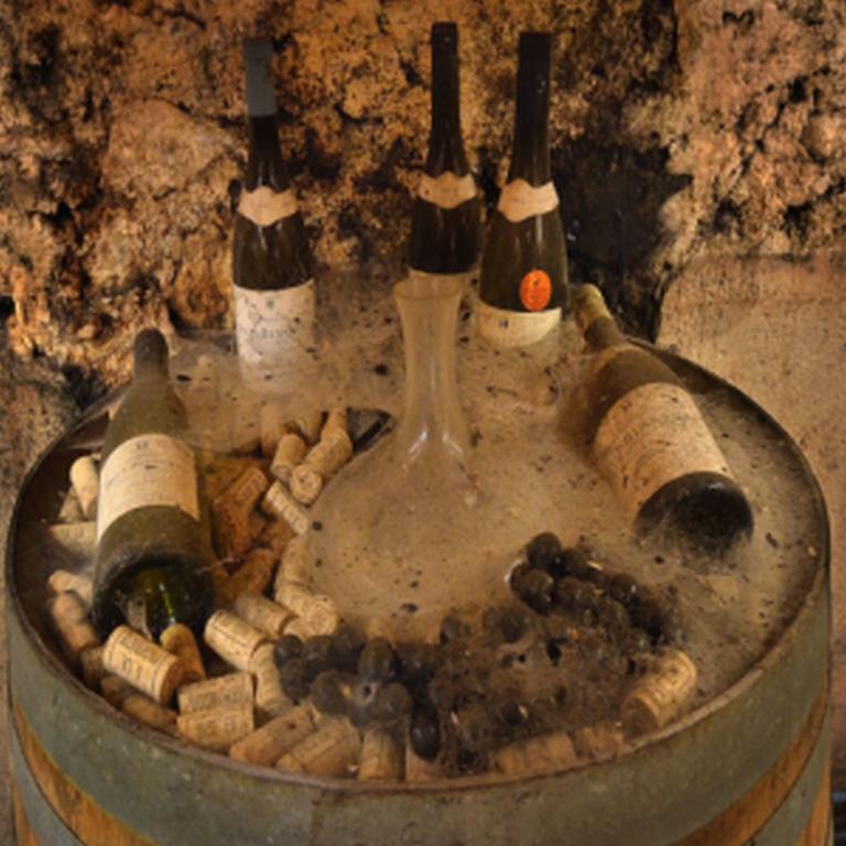 Saint-Pargoire Chateau Rieutort מראה חיצוני תמונה